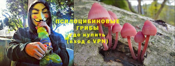 стафф Богородск