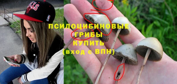 ALPHA PVP Богородицк